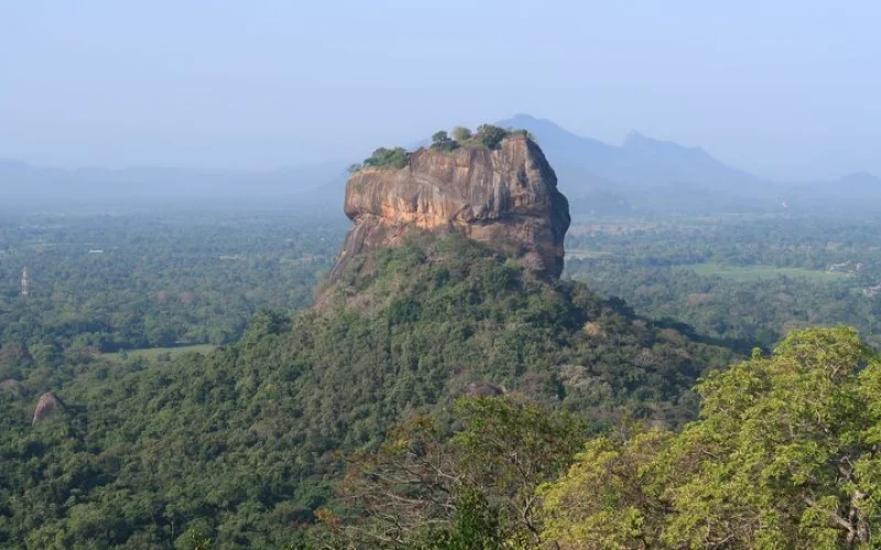 Wanderung zum Pidurangala-Felsen und Safari im Minneriya Nationalpark