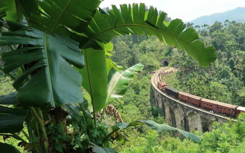 Panorama-Zugfahrt nach Nanu Oya und Geheimnis des Ceylon-Tees