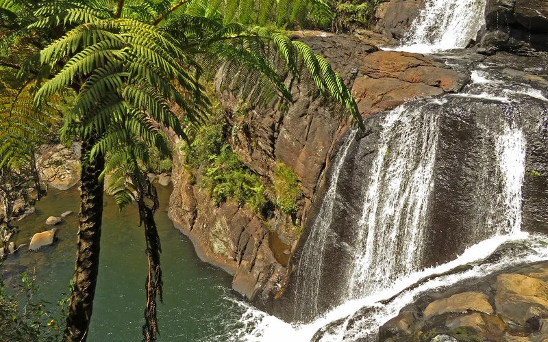 Wandern im Horton Plains-Nationalpark bis zum Bambarakanda-Wasserfall