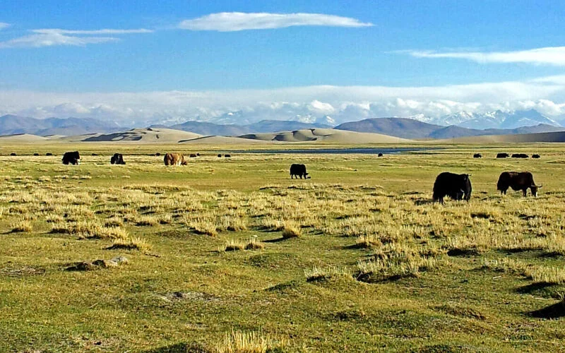 Weiterreise über das tibetische Hochland und die Sanddünen von Paryang
