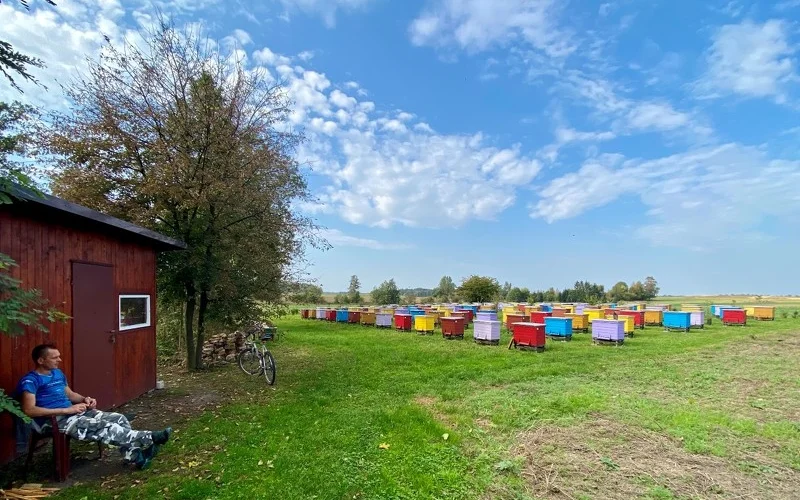 Radtour via Dönhoffstädt nach Węgorzewo und Besuch bei einem Imker