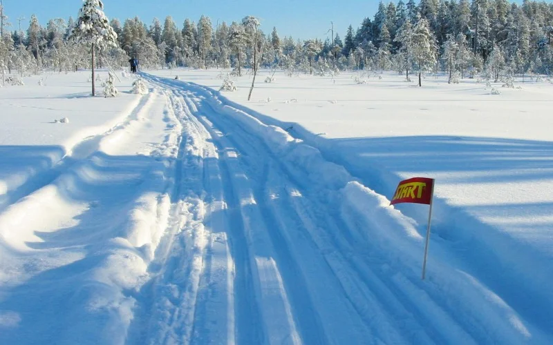 Tagestour in Martinselkonen 