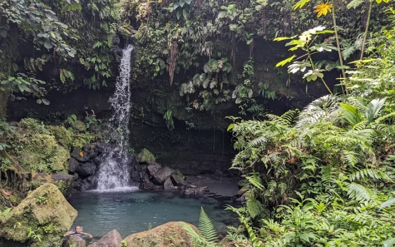 Wanderung in das Herz des Regenwaldes: Nationalpark Morne Trois Piton