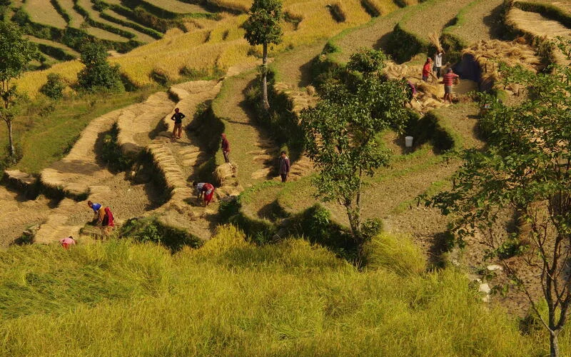 Fahrt zum Trekkingstartpunkt nach Machi Khola (800 m)