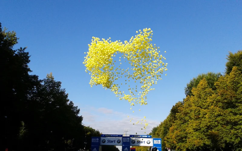 Regeneration und Heimreise