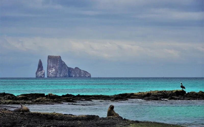 Bootsausflug zum Schnorchelparadies am Kicker Rock: Roca León Dormido