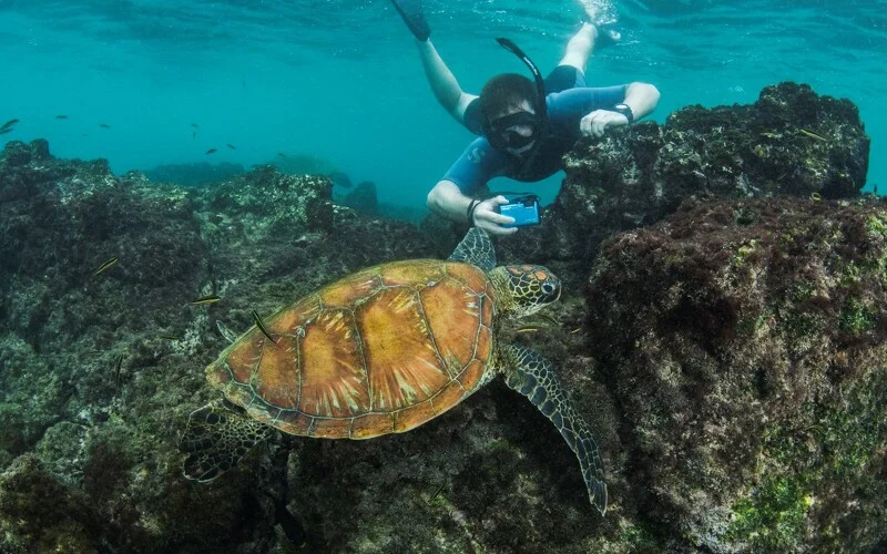 Überfahrt nach Santa Cruz und Wanderung Tortuga Bay mit Badestopps