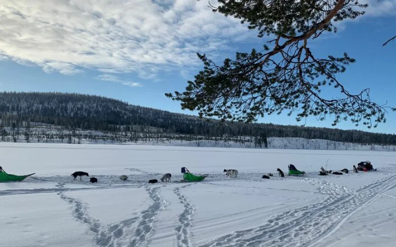 Anreise nach Arvidsjaur – Välkomna!