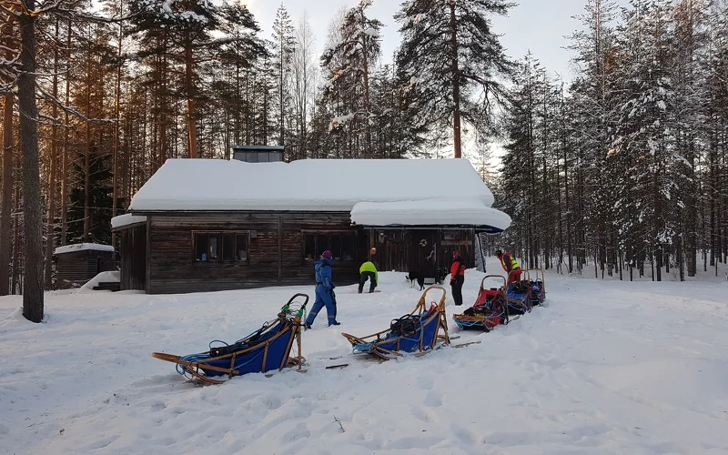 2-tägige Huskytour mit Übernachtung in einer Wildnishütte