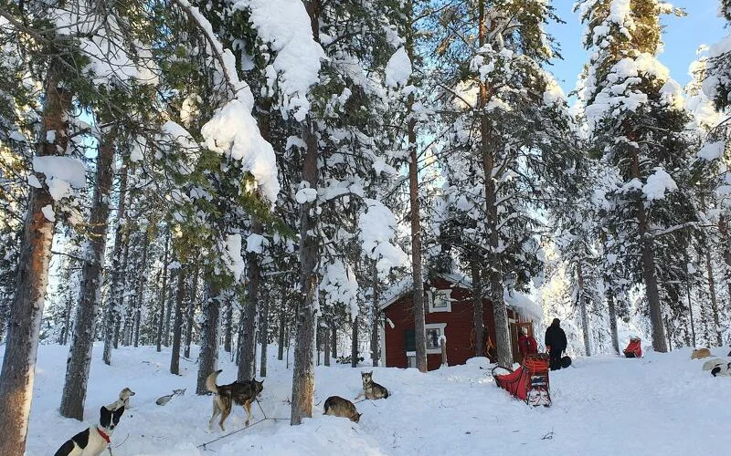 Auf zur zweiten Wildnishütte!