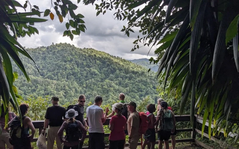 Fährfahrt nach Dominica, Stadtrundgang Roseau und Trafalger Falls