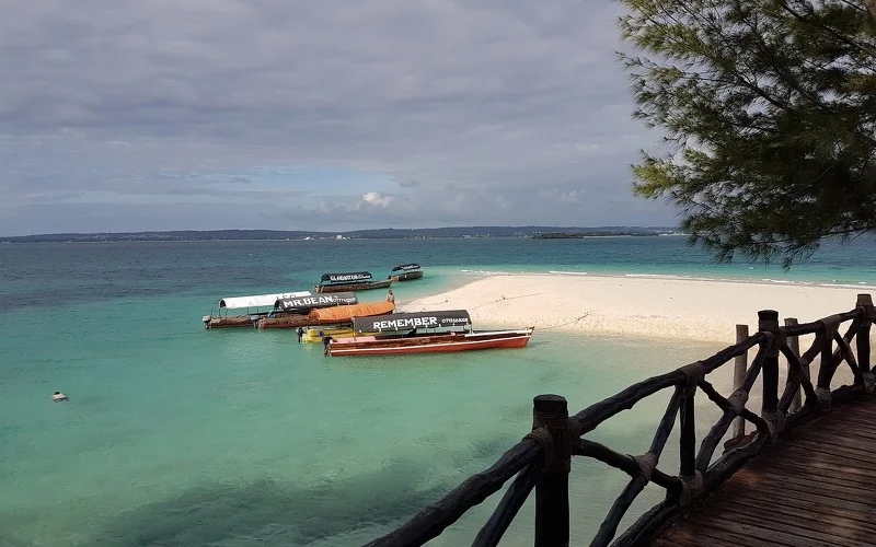 Bootstour zur Kwale-Insel mit Halt auf einer Sandbank