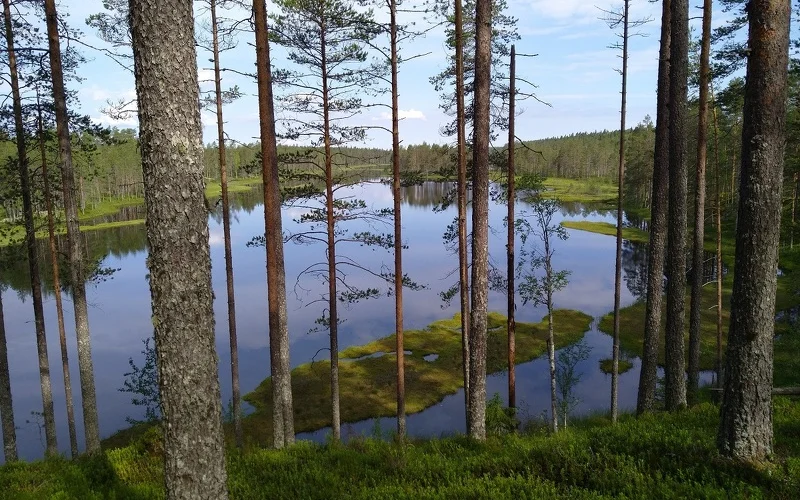 Wanderung im Naturschutzgebiet Raesärkät mit Badepausen