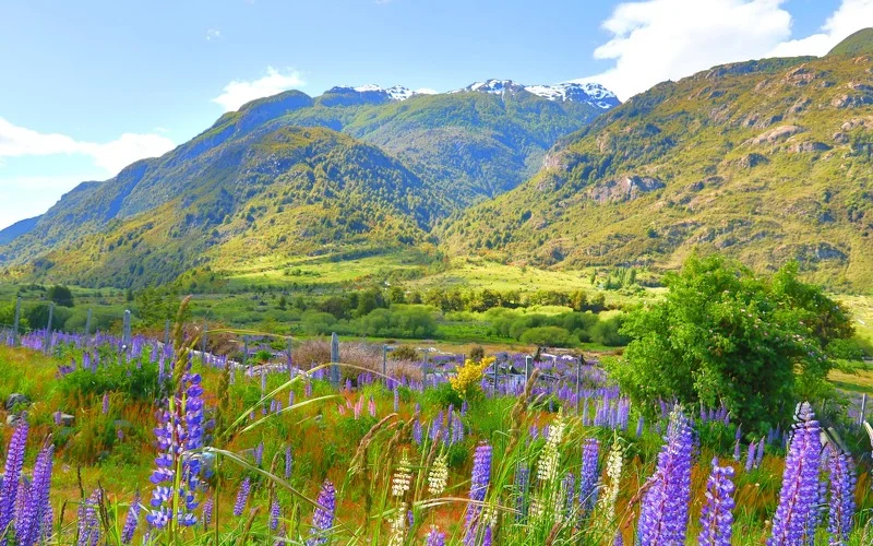 Fahrt in den Nationalpark Torres del Paine mit kurzen Wanderungen