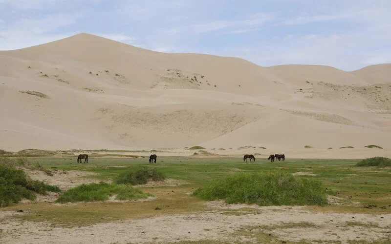 Die "singenden" Dünen von Khongoryn Els