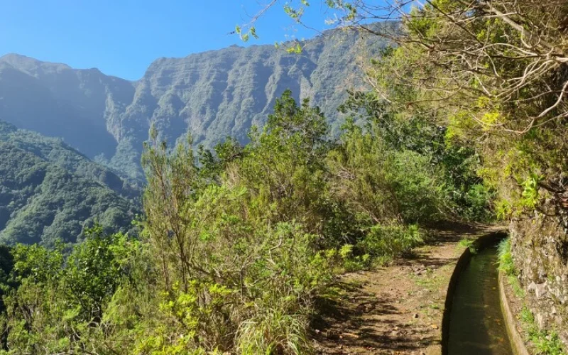 Levadawanderung durch Lorbeerwald in einem spektakulären, einsamen Tal