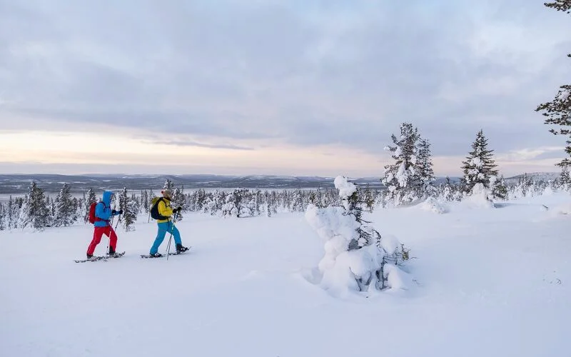 Erkunden der winterlichen Natur bei einer Schneeschuhwanderung