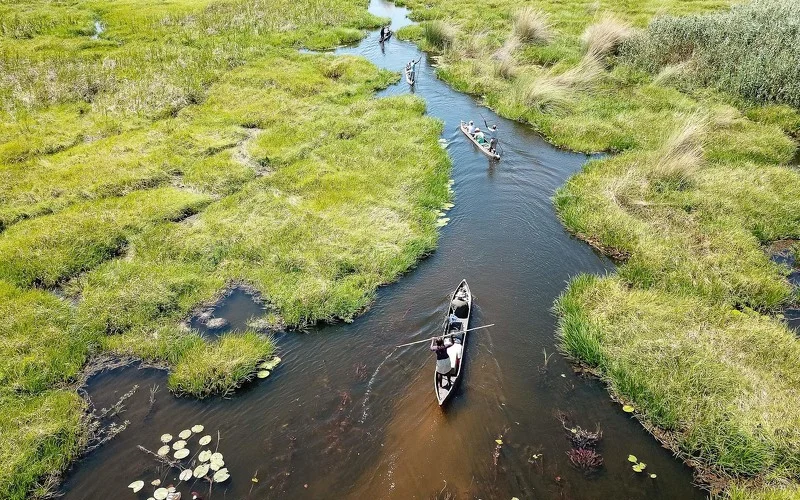 Ein Labyrinth aus Wasserwegen, das Okavango-Delta