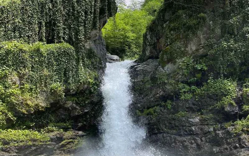 Wanderung im Lagodechi-Nationalpark 