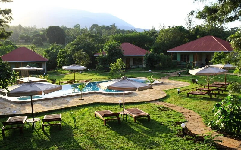 Anreise nach Tansania und Fahrt zur Lodge am Fuße des Mount Meru