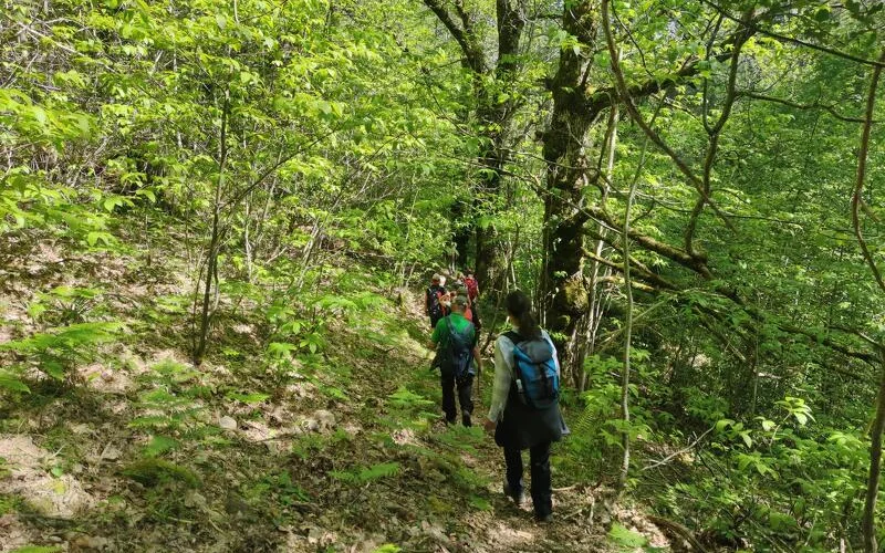 Wanderung von Vizzavona zum lebhaften Bergdorf Vivario