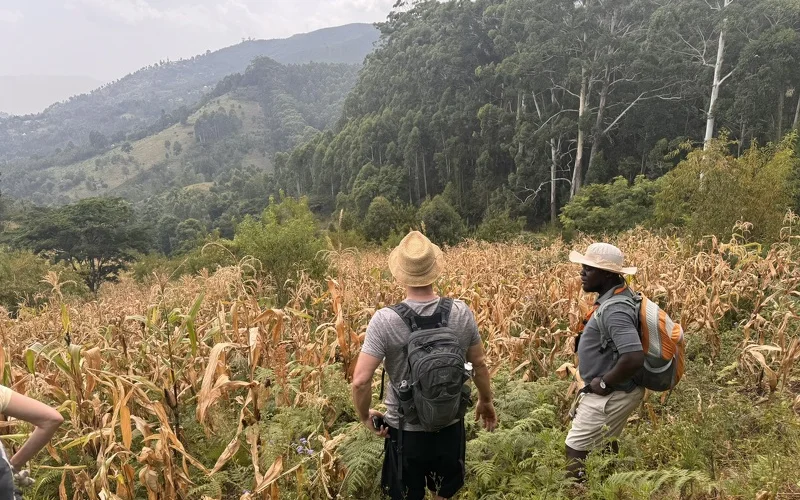 Wanderung vom Bergstädtchen Lushoto durch den grünen Magamba-Wald 