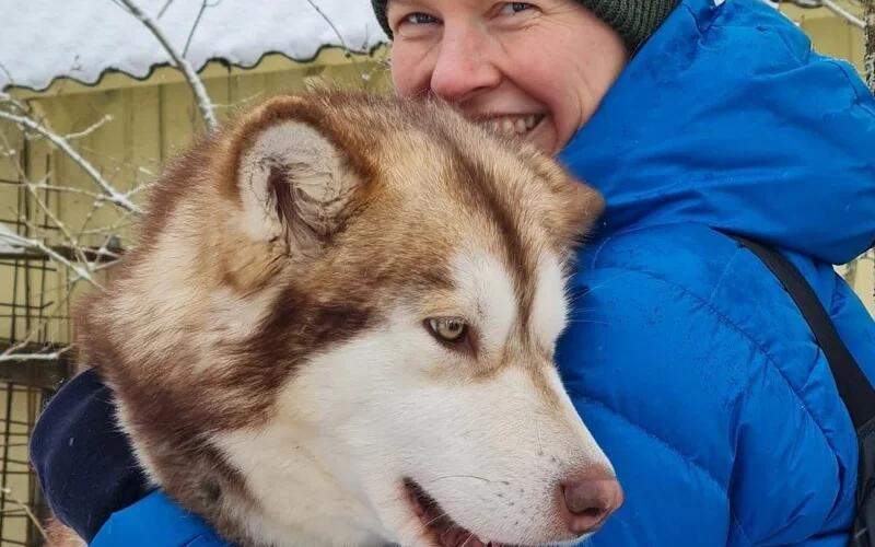 Besuch der Malamuts mit optionaler Tretschlittenfahrt und Yoga 