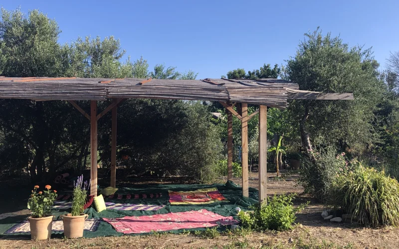 Angela's Garten: Frühstück, Basic Body Awareness, Qigong – ankommen