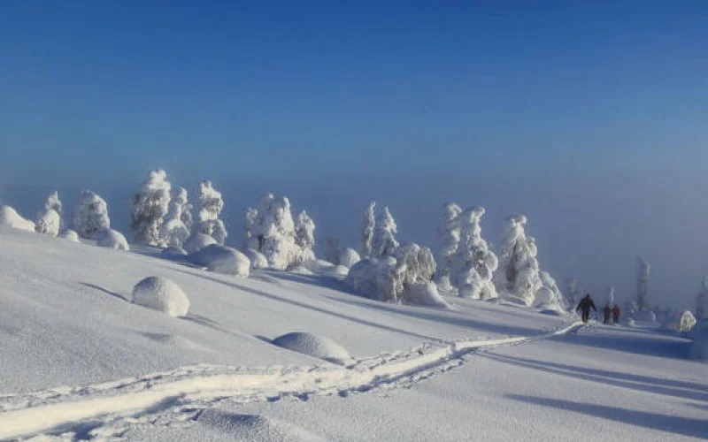 Skitour in die Berge zur Wildnishütte Nammalkuru
