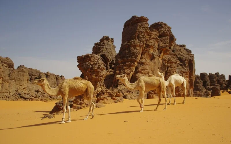 Durch Sand und spektakuläre Felsformationen nach Tiharamieouine