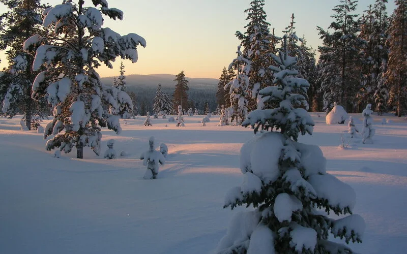 Von Raattama zur Hütte Walkikeimiö
