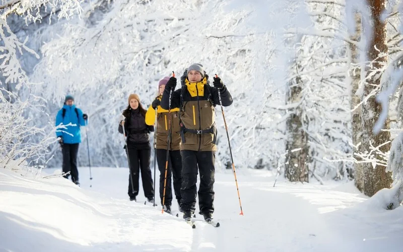 Skitour zur Halbinsel Aronsalmi