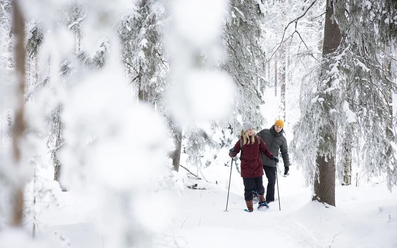 Schneeschuhtour im Koli Nationalpark