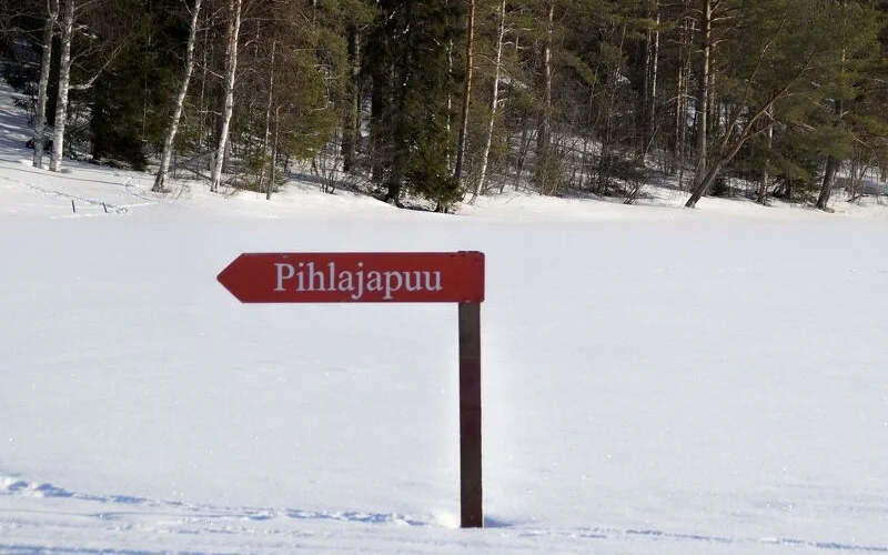 Abreise von Kuopio und Abschied vom winterlichen Finnisch-Karelien