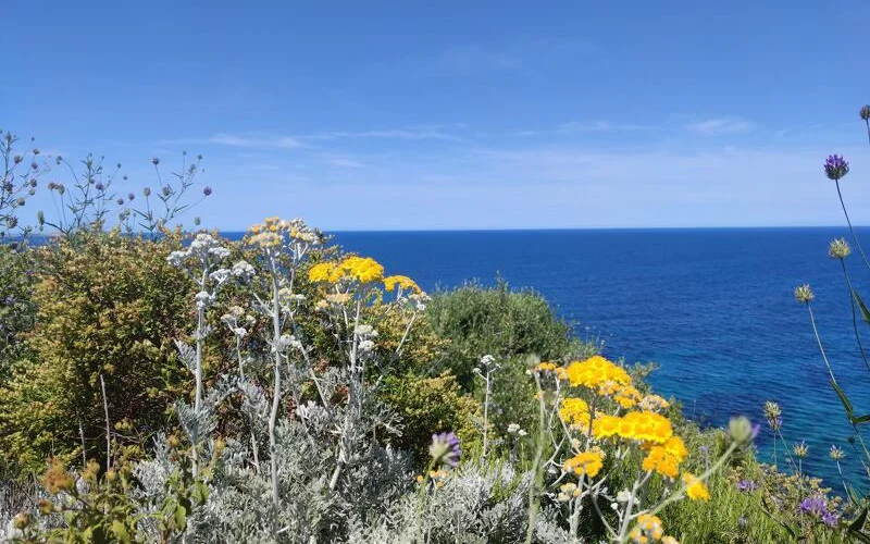 Fahrt zum Flughafen Bastia und Heimreise