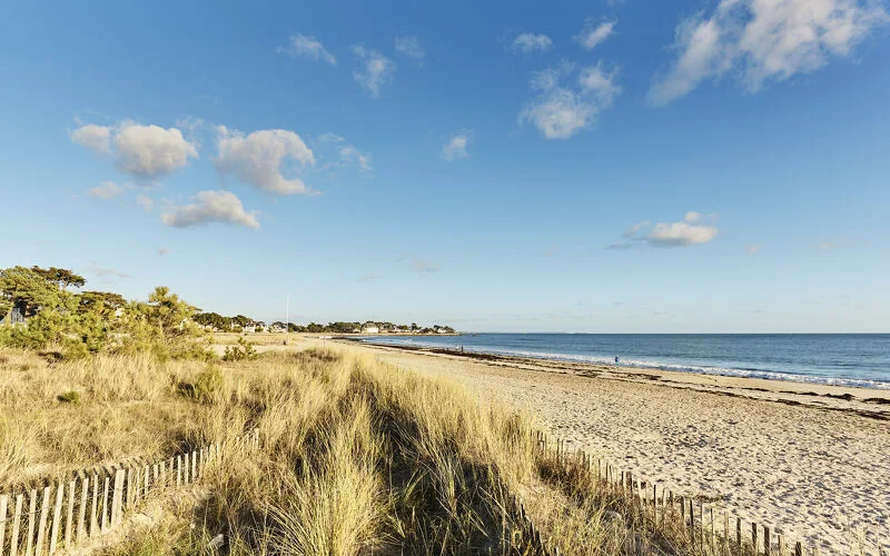 Küste, Meer und Apfelcidre an der Bucht von Concarneau