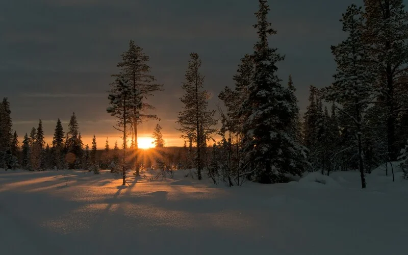 Zweitägige Hundeschlittentour durchs Winterwunderland