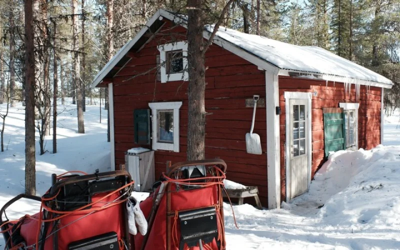 Auf in die erste Wildnishütte