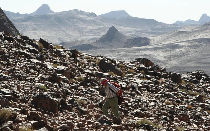 Trekking Tahat - In Fergan
