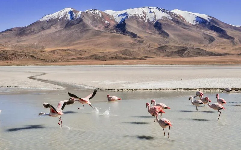 Geländewagentour durch die Wüste Siloli und zur Laguna Colorada
