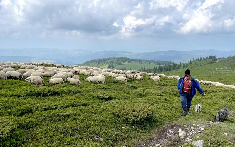 Wanderung durch das malerische Vorbergland in zwei Hirtendörfer