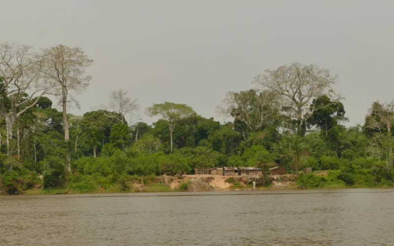 Bootstour nach Bomassa, das Tor zum Nouabalé-Ndoki-Nationalpark