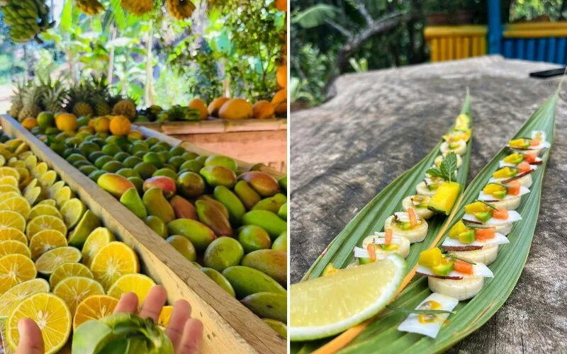 Besuch der Bio-Plantage Valleé Des Fruits