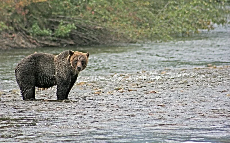 Banff Nationalpark – Wandern zwischen Gletschern & türkisblauen Seen