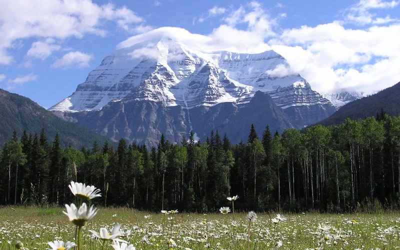 Mount Robson – Wanderung am Kinney Lake