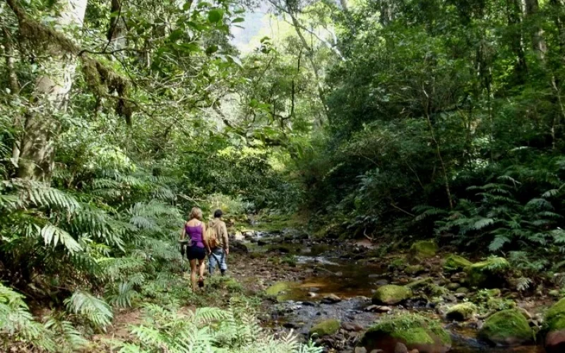 Den artenreichen Amboro-Nationalpark auf eigene Faust entdecken
