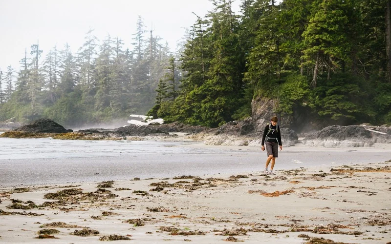 Pacific Rim Nationalpark – Wilde Küste & Regenwald