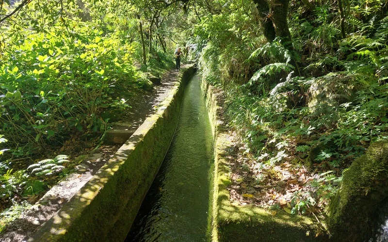 Wanderung auf die Hochebene Paúl da Serra 