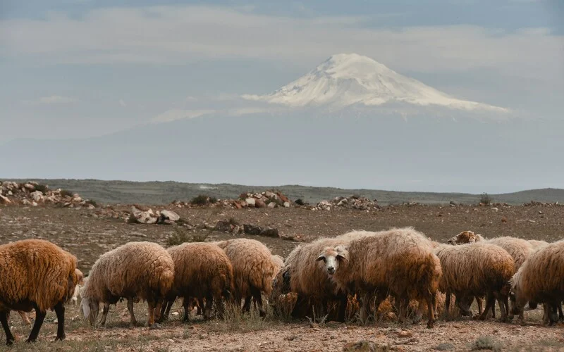 Besteigung des Südgipfel des Aragats
