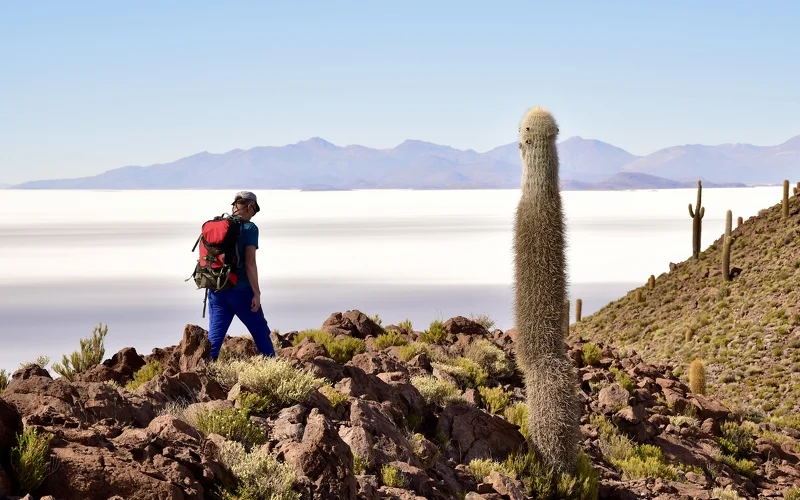 Canyon-Wanderung und Erkundung des Salzsees von Uyuni mit Wanderung über die Kakteeninsel